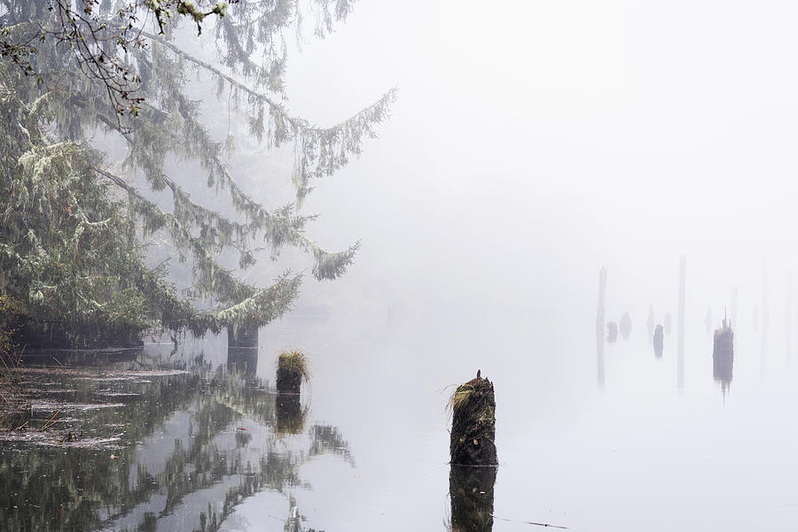 Fog on the Estuary by Robert Potts Fog on the Estuary by Robert Potts