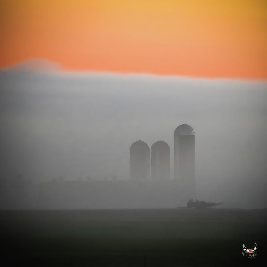 Fog on the Farm Photograph by Pam Rendall