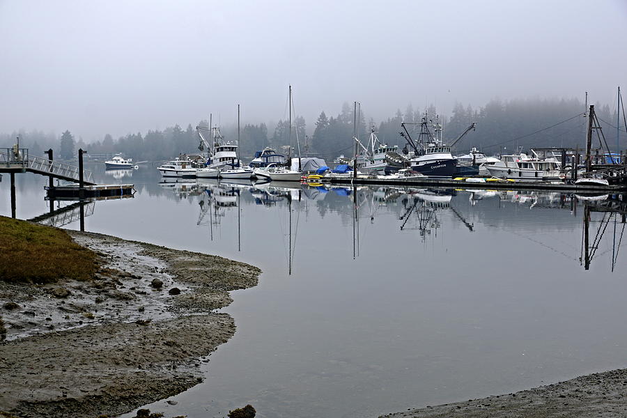 Fog On The Harbor Photograph by Bill TALICH