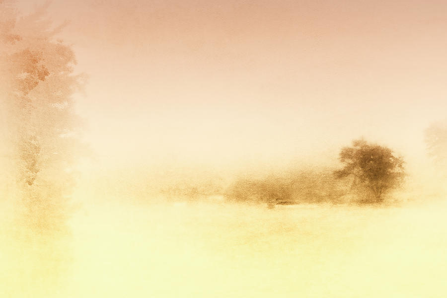 Fog on the Lake Photograph by Reynaldo Williams
