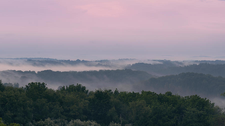 Fog on the Preserve Photograph by Jason Fink