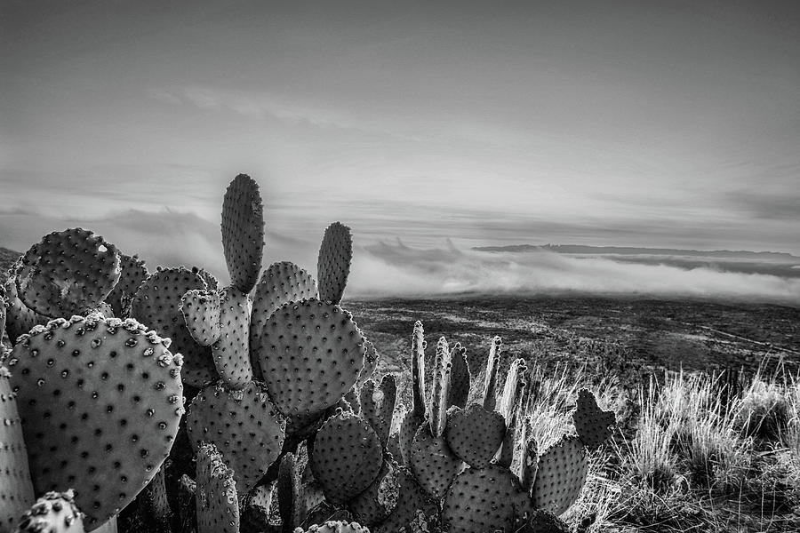 Fog on the Rio Grande Black and White Photograph by Kyle Findley