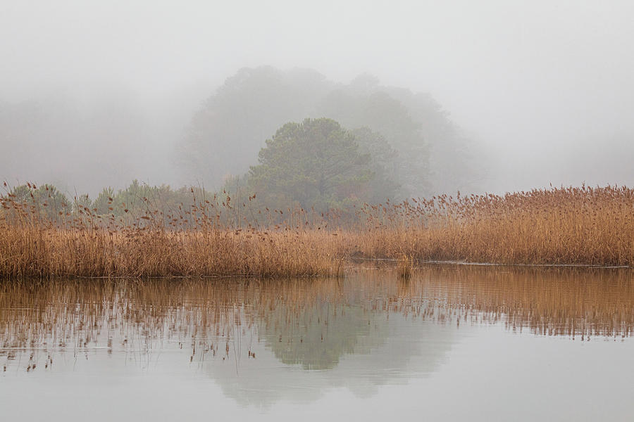 Fog on the River Photograph by Rachel Morrison