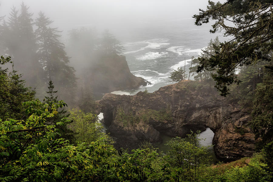 Fog Over Natural Bridges Photograph by Belinda Greb