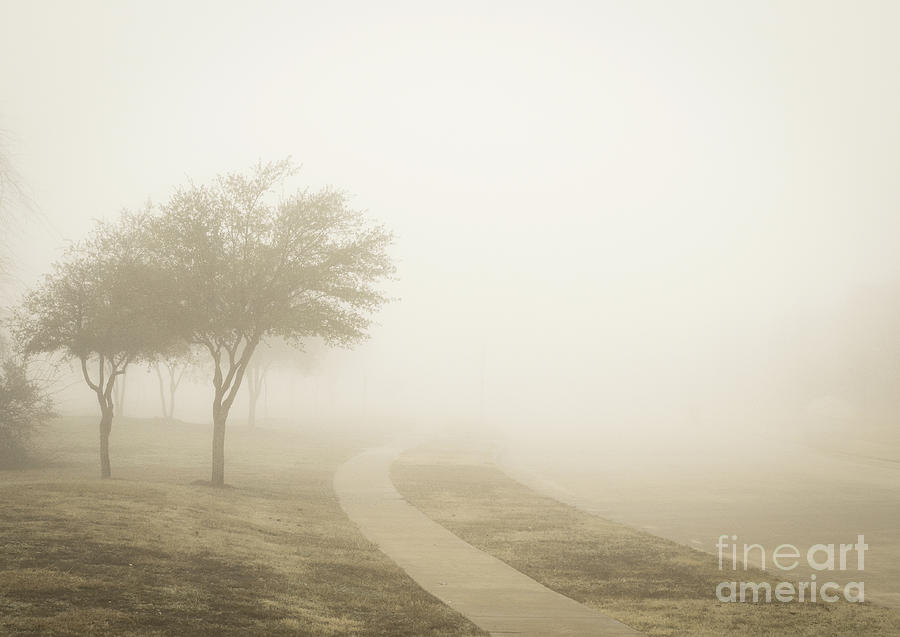 Fog Photograph by Tasawur E AlMusawir