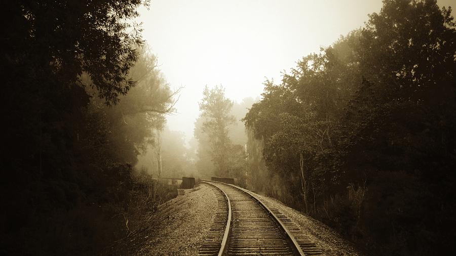 Fog Rail Photograph by Robert Elfstrom - Fine Art America