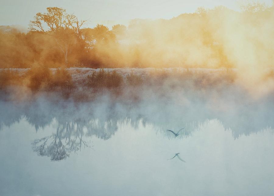 Fog Rising Photograph by Lisa Spencer