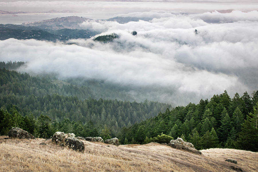 Fog Rolling In Mt. Tam Photograph by Gary Geddes