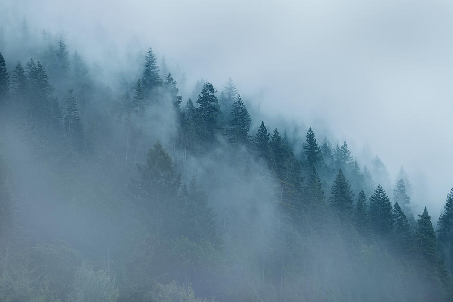 Fog Shrouded Mountain Ridge British Columbia Canada Photograph