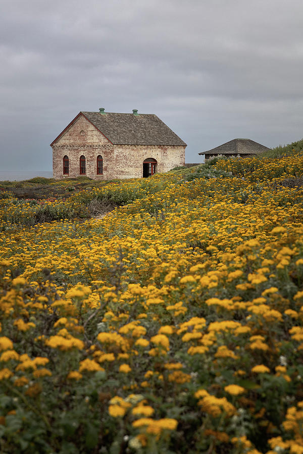 Fog Signal House at Piedras Blancas Lighthouse  Photograph by Lars Mikkelsen