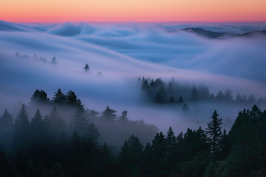 Fog Waves Photograph by Louis Raphael