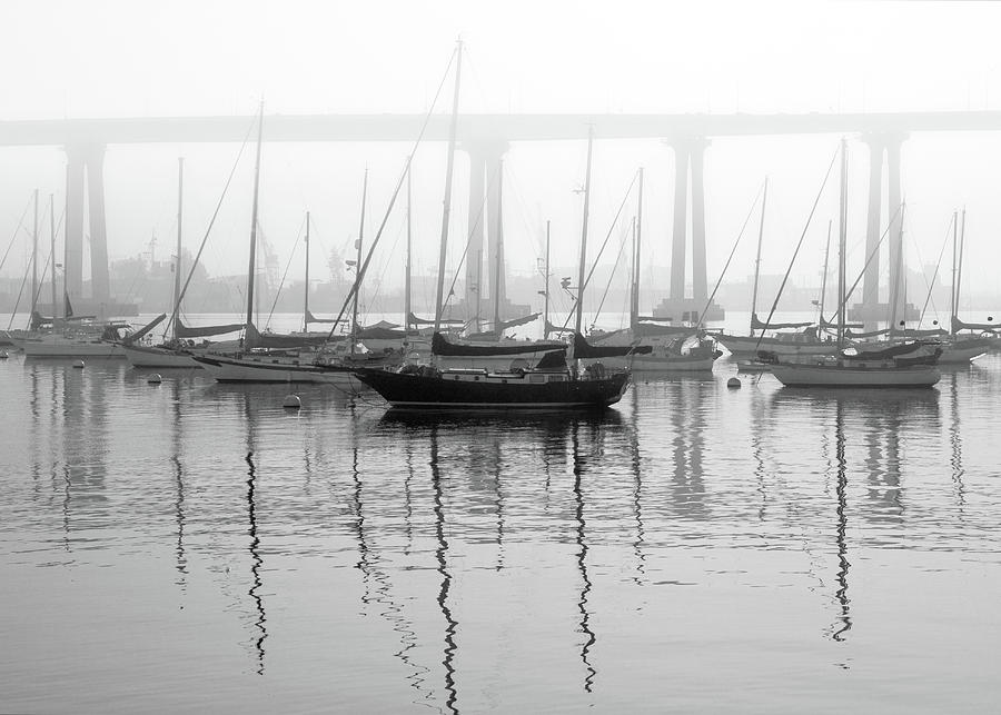 Fog Photograph by Bill Chizek
