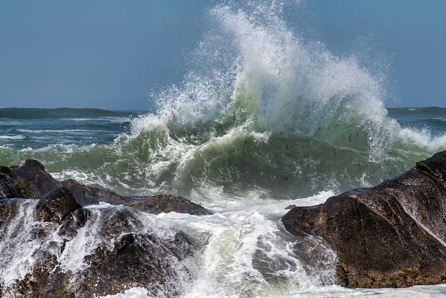 Fogarty Beach-August 14, 2023- DSC_1007 Photograph by Johanna Froese ...