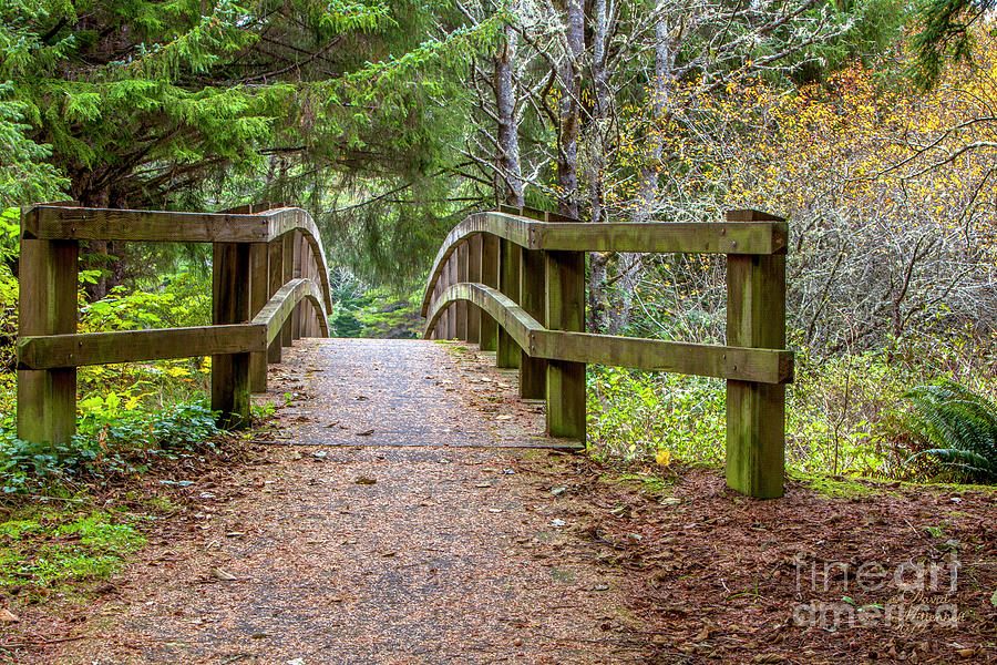 Fogarty Creek State Recreational Area, Bridge, Forest, Green, Autumn,  Photograph by David Millenheft