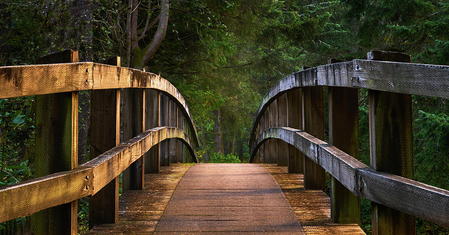Tree Photograph - Foot Bridge at Fogarty Creek State Recreation area. Depoe Bay. Oregon by TL Mair