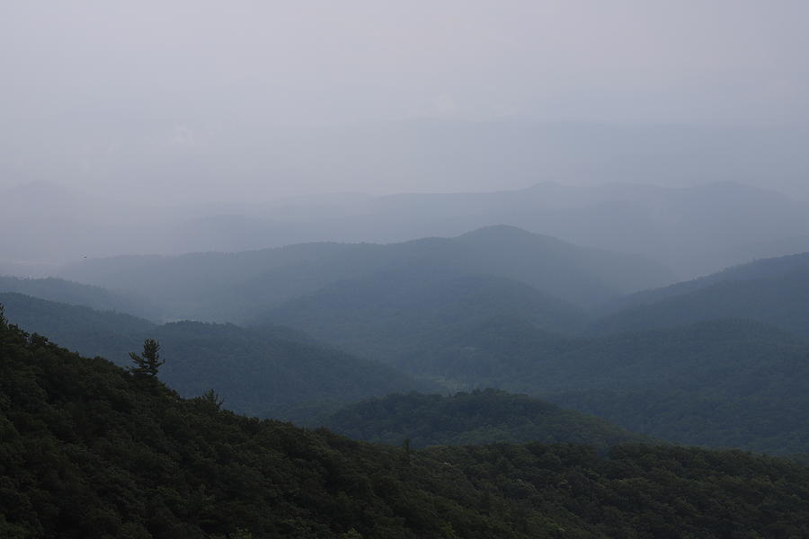 Fogged In Day Blue Ridge Mountains Photograph by Karen Ruhl