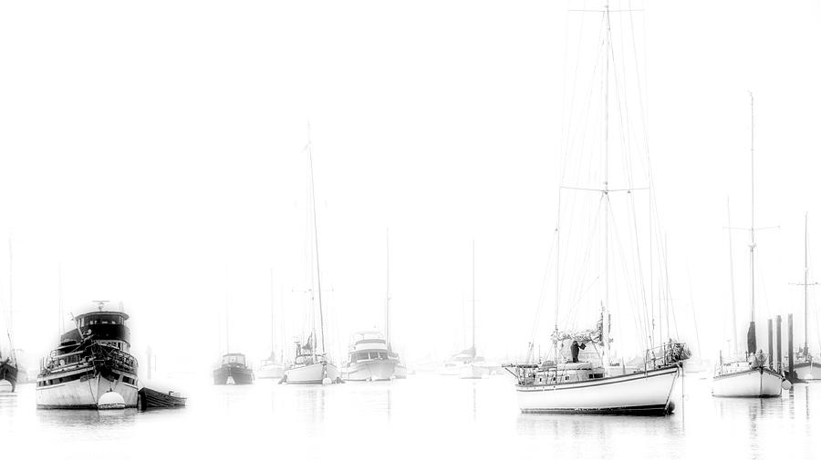 Black And White Photograph - Fogged In, Morro Bay, California by Zayne Diamond
