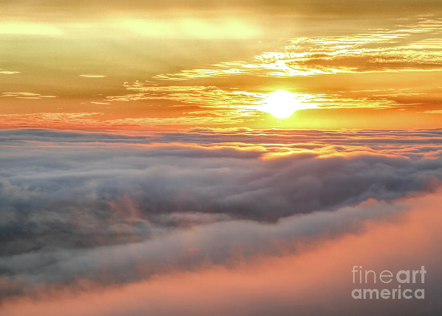 Foggy Acadia Sunrise Photograph