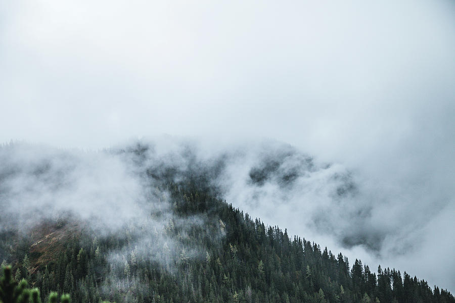 Foggy Alps Photograph by Armin Pabst - Fine Art America