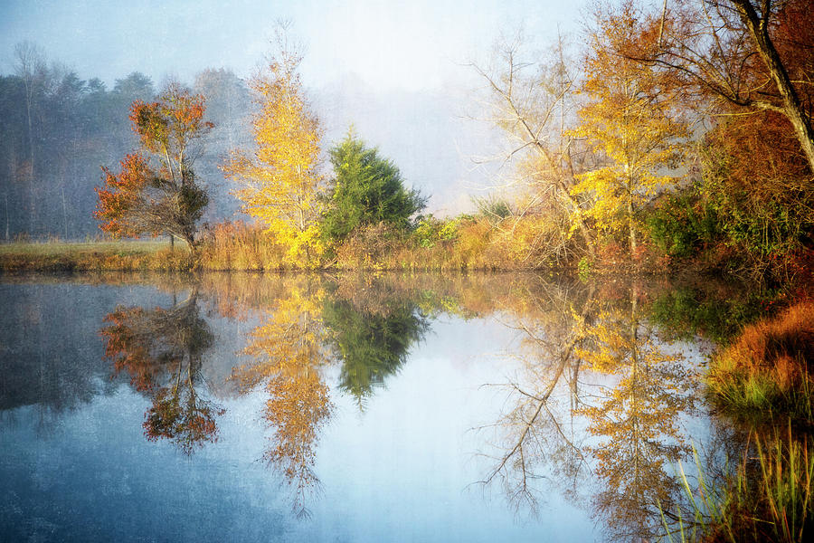 Foggy Autumn Lake Photograph by Alan Raasch