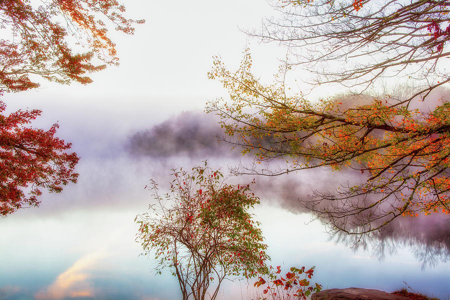 Foggy Autumn Lake Photograph by Dan Carmichael