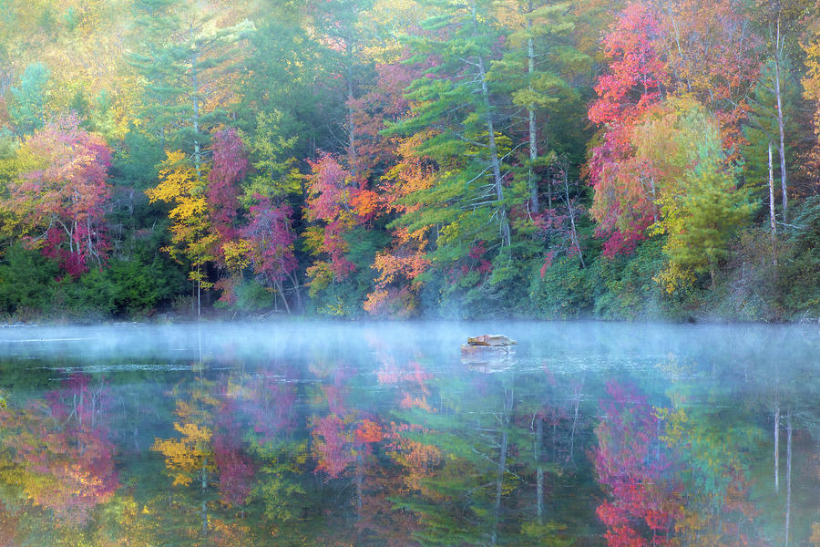 Foggy Autumn morning on the Lake Photograph by Jaki Miller