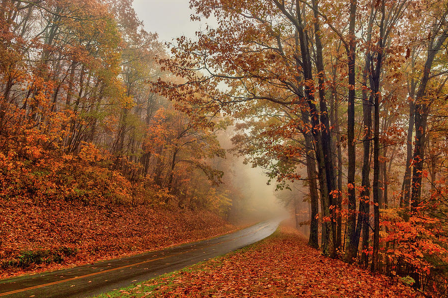 Foggy Autumn Parkway Photograph by Dan Carmichael