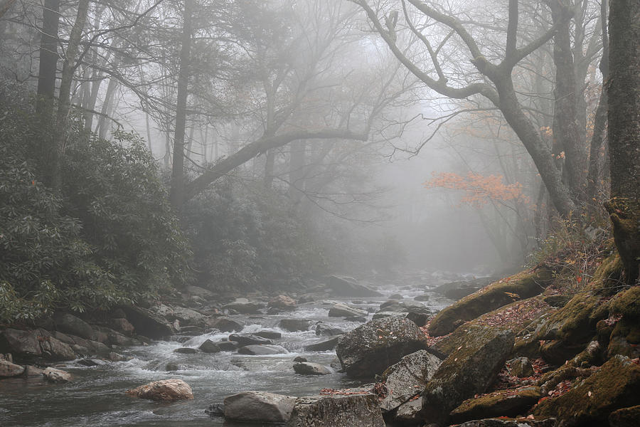 Foggy Autumn River Photograph by Dan Sproul