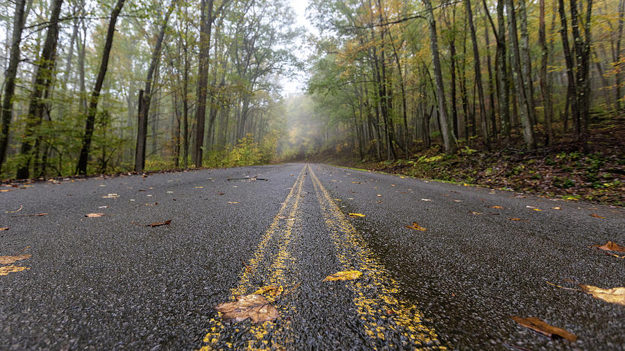 Foggy Autumn Road  Photograph by John McGraw