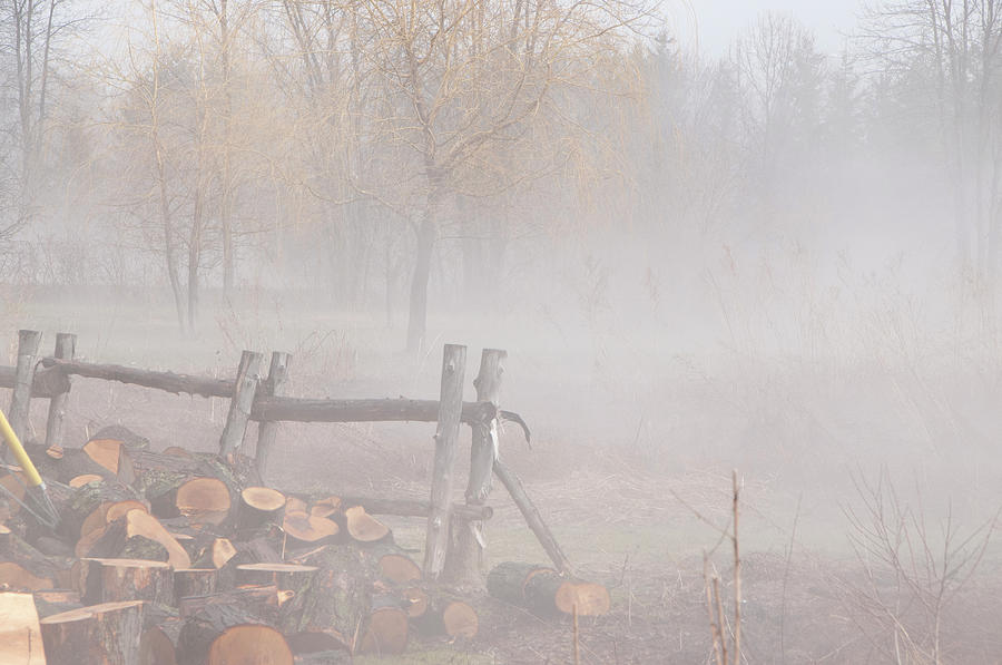 Foggy Backyard Photograph by Lieve Snellings