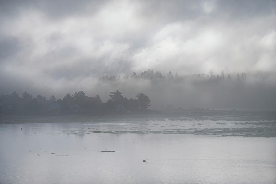 Foggy Bay Morning Photograph by Steven Clark