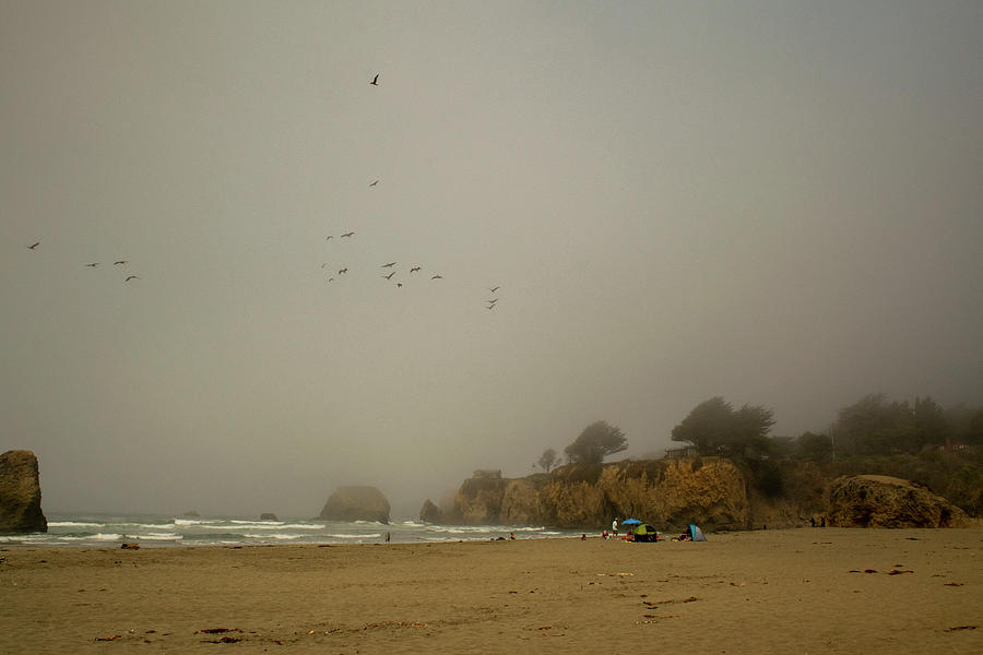 Foggy Beach Day Photograph by Frank Wilson