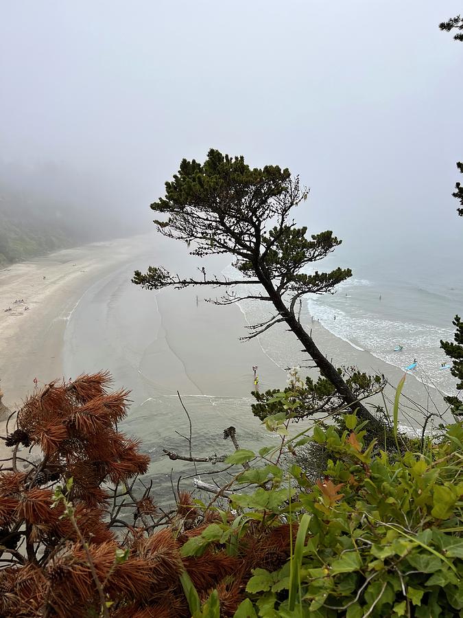 Foggy Beach Day Photograph by Nancy Merkle