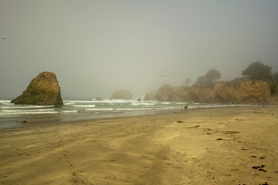 Foggy Beach Photograph by Frank Wilson
