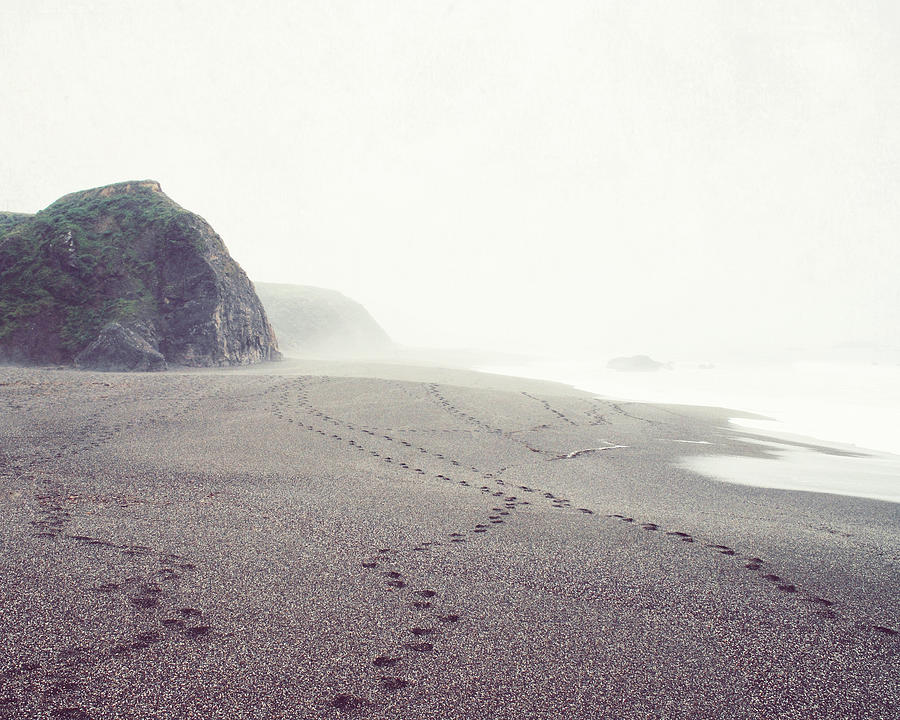 Foggy Beach Photograph by Lupen Grainne