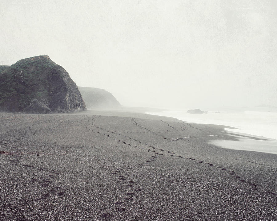 Foggy Beach Walk Photograph By Lupen Grainne