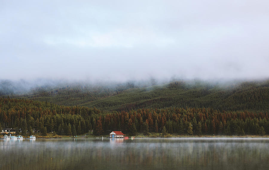 Foggy Boathouse Reflection Photograph by Dan Sproul