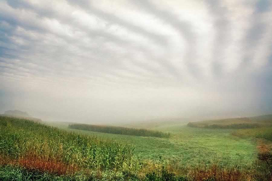 Foggy Bottom Field Photograph by Todd Klassy