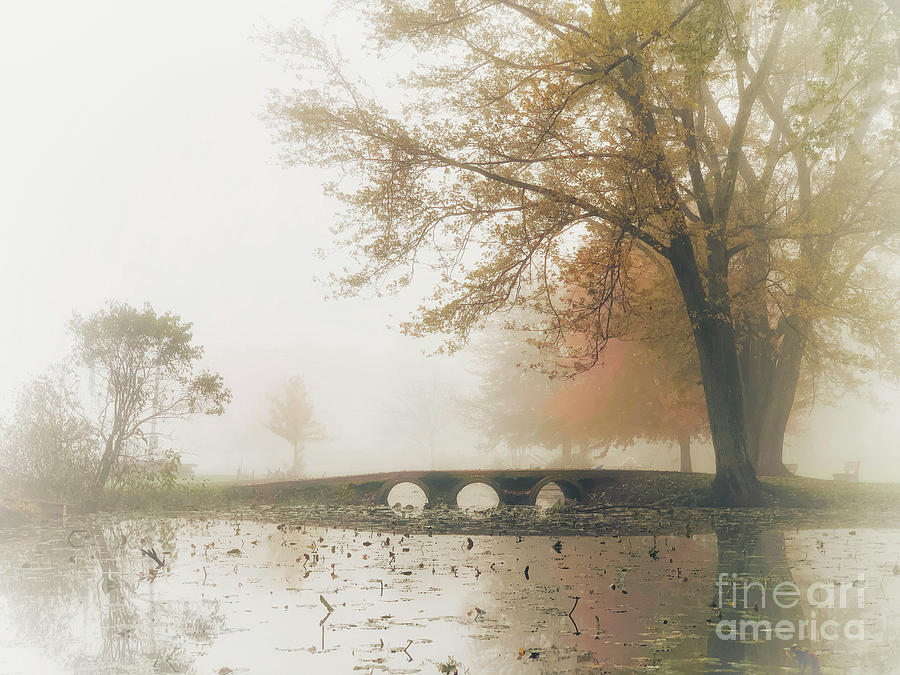 Foggy Bridge On An Autumn Morning Photograph
