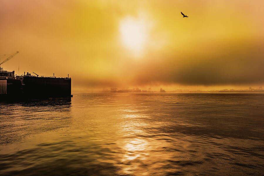 Foggy Burrard Dry Dock North Vancouver 4320 Photograph by Neptune Images Foggy Burrard Dry Dock North Vancouver 4320 Photograph by Neptune Images