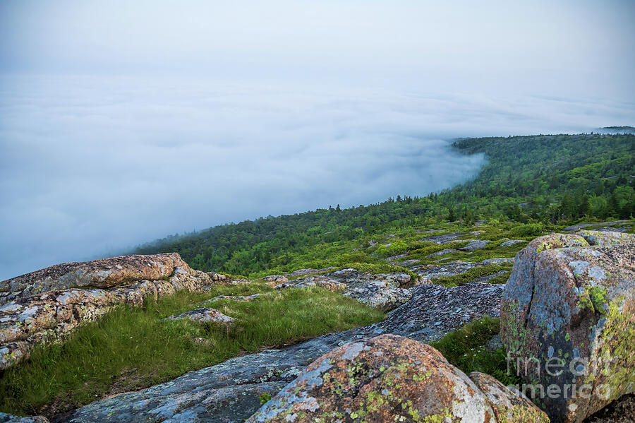 Foggy Cadillac Mountain Photograph by Sturgeon Photography Foggy Cadillac Mountain Photograph by Sturgeon Photography