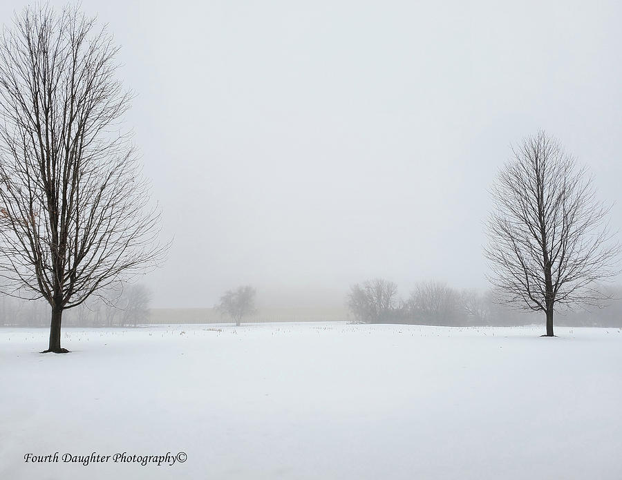 foggy Christmas on the farm Photograph by Diane Shirley