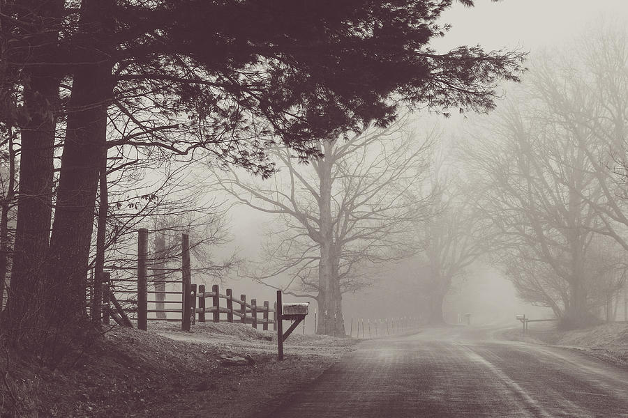 Foggy Country Road 2 Photograph by Joni Eskridge