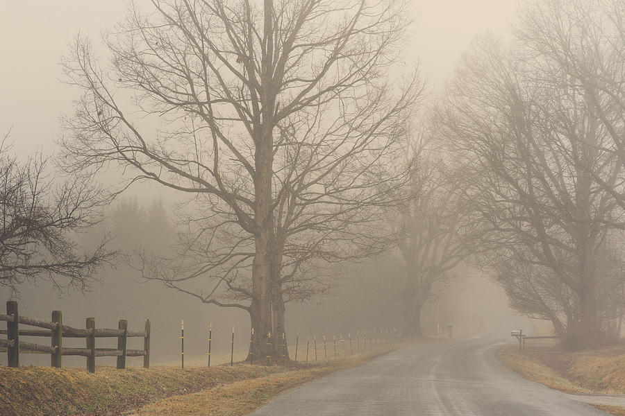 Foggy Country Road Photograph