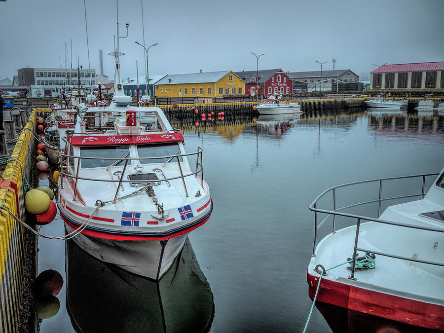 Foggy Day at Siglifjordur Harbor Photograph by Kristia Adams