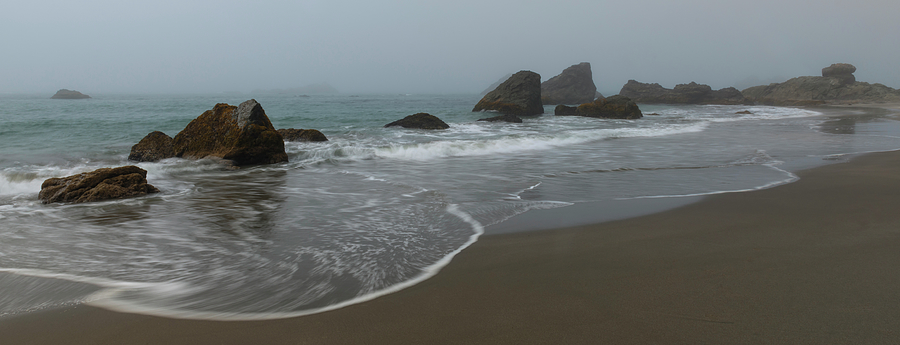 Foggy Day at the Beach Photograph by Loree Johnson
