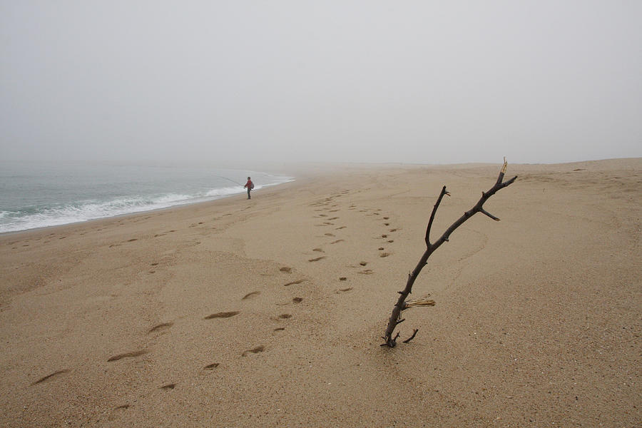 Foggy day at the beach Photograph by Mgs