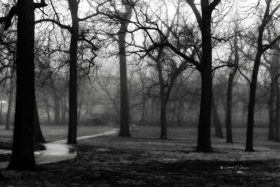 Foggy Day Photograph by Ed Peterson