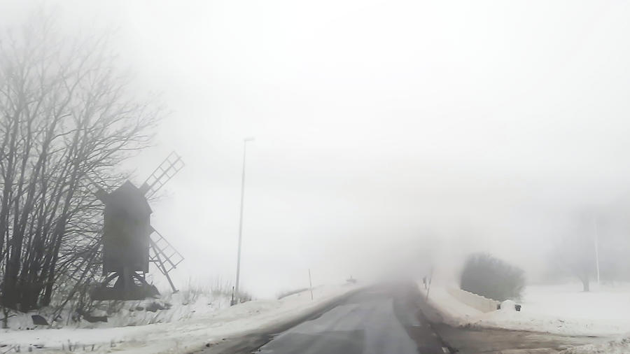 Winter Photograph - Foggy day by Elaine Berger