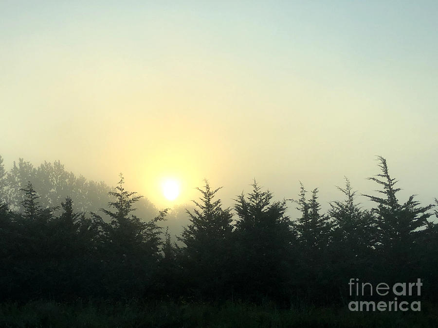 Foggy Day Sunrise Photograph by Kathy M Krause